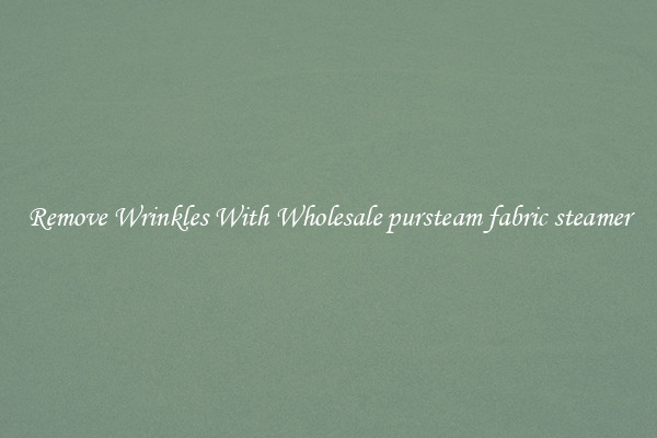 Remove Wrinkles With Wholesale pursteam fabric steamer