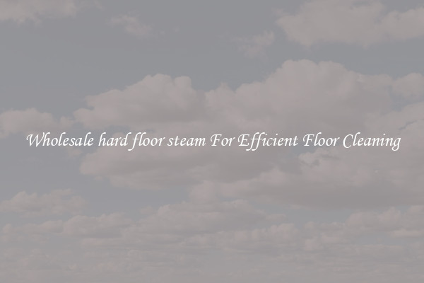 Wholesale hard floor steam For Efficient Floor Cleaning
