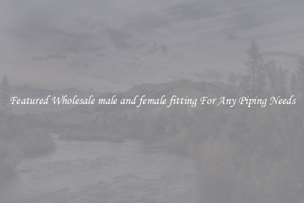 Featured Wholesale male and female fitting For Any Piping Needs