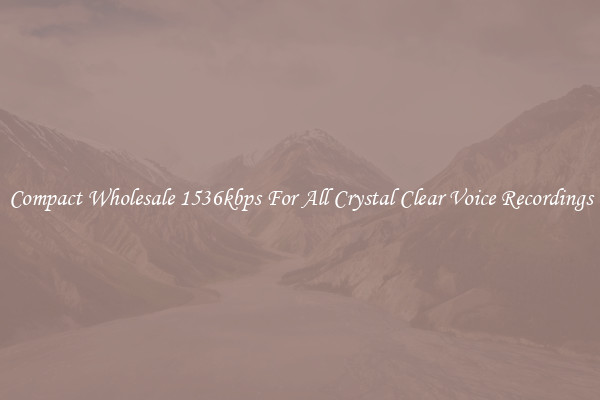 Compact Wholesale 1536kbps For All Crystal Clear Voice Recordings
