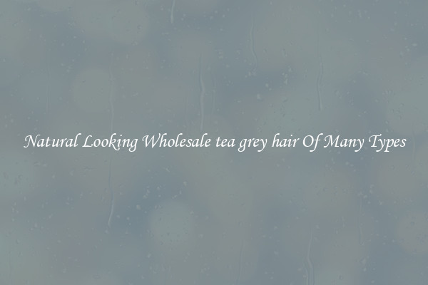 Natural Looking Wholesale tea grey hair Of Many Types