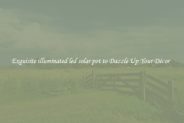 Exquisite illuminated led solar pot to Dazzle Up Your Décor  