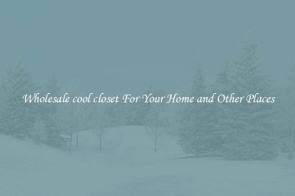 Wholesale cool closet For Your Home and Other Places