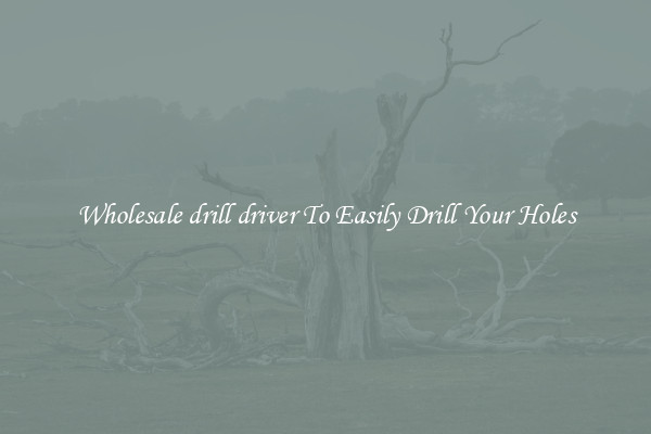 Wholesale drill driver To Easily Drill Your Holes