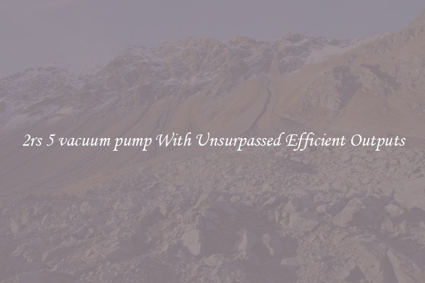 2rs 5 vacuum pump With Unsurpassed Efficient Outputs