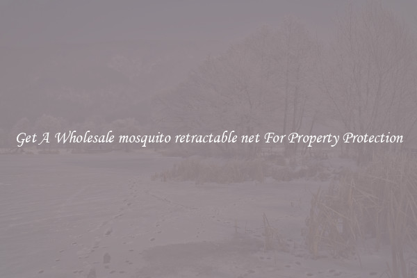 Get A Wholesale mosquito retractable net For Property Protection
