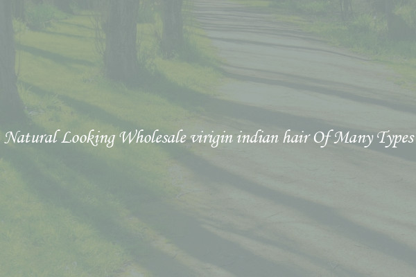 Natural Looking Wholesale virigin indian hair Of Many Types