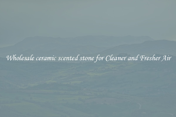 Wholesale ceramic scented stone for Cleaner and Fresher Air