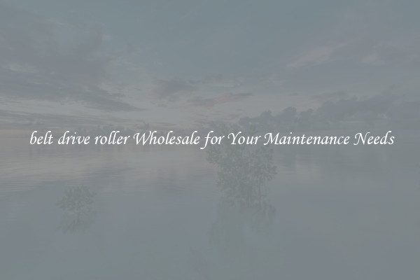 belt drive roller Wholesale for Your Maintenance Needs