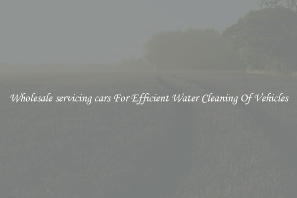 Wholesale servicing cars For Efficient Water Cleaning Of Vehicles