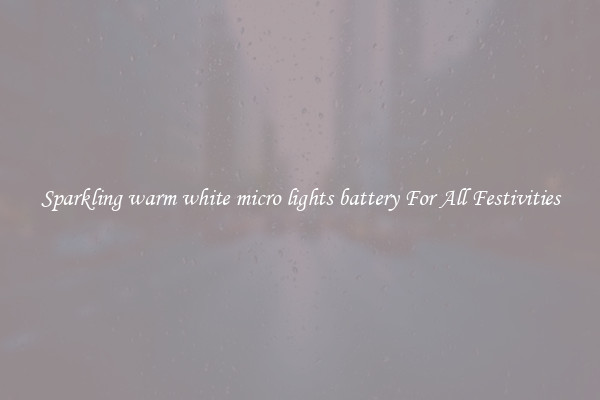 Sparkling warm white micro lights battery For All Festivities