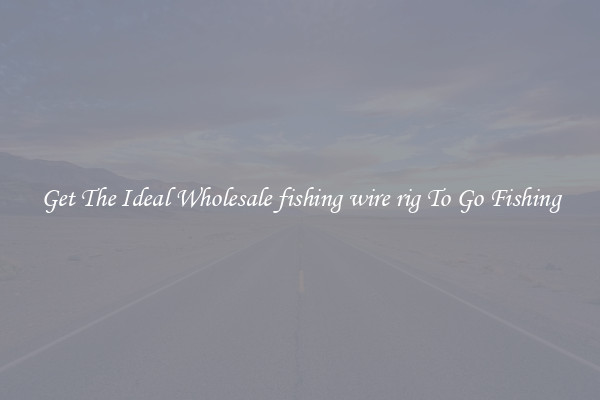 Get The Ideal Wholesale fishing wire rig To Go Fishing