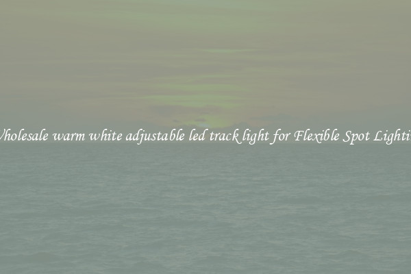 Wholesale warm white adjustable led track light for Flexible Spot Lighting
