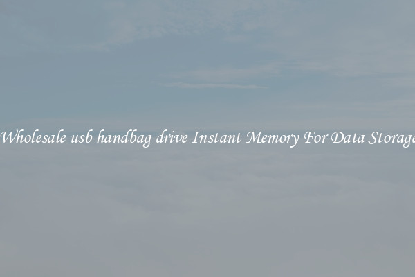 Wholesale usb handbag drive Instant Memory For Data Storage