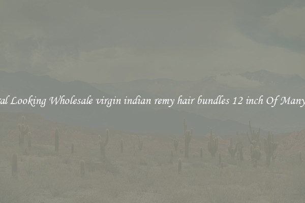 Natural Looking Wholesale virgin indian remy hair bundles 12 inch Of Many Types