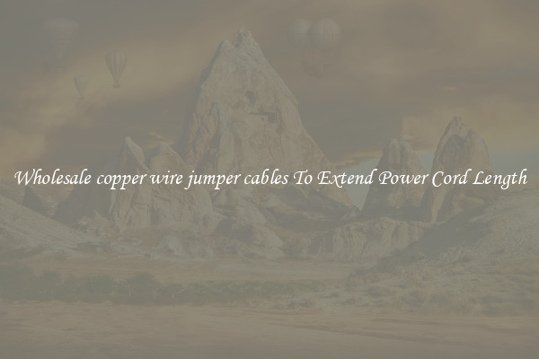 Wholesale copper wire jumper cables To Extend Power Cord Length