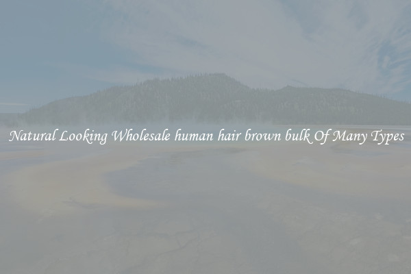Natural Looking Wholesale human hair brown bulk Of Many Types