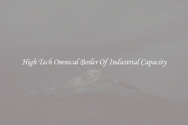 High Tech Omnical Boiler Of Industrial Capacity